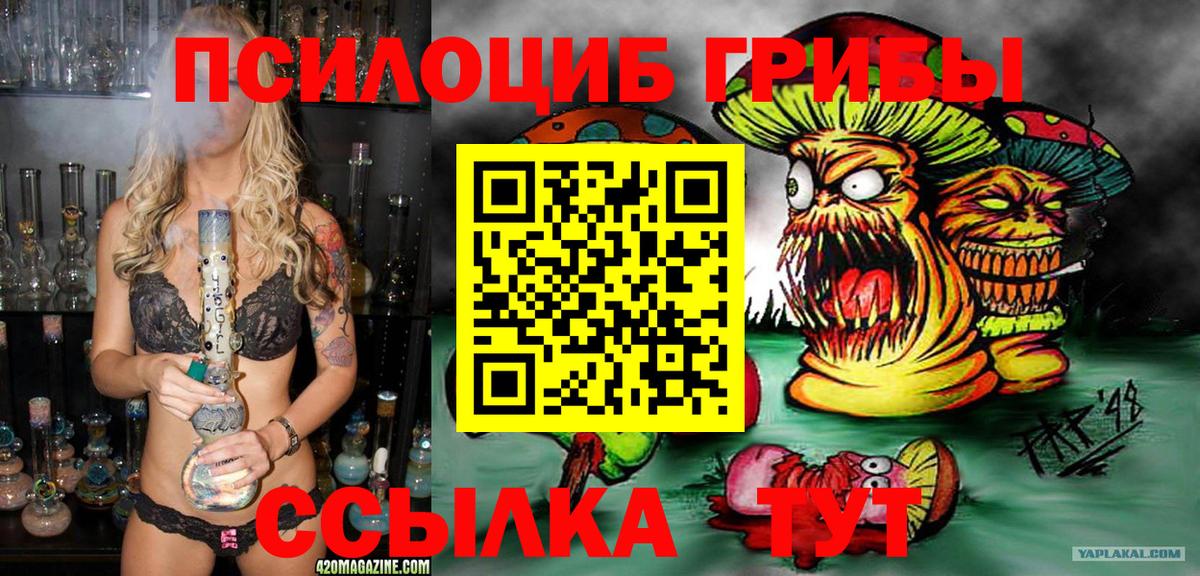 Псилоцибиновые грибы Psilocybine cubensis Кингисепп