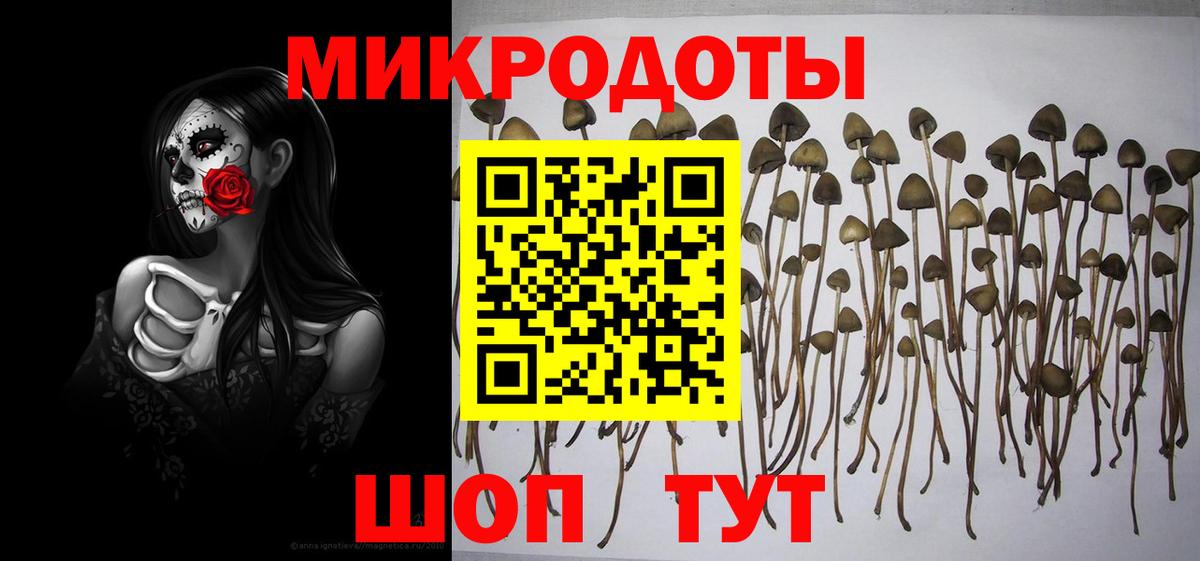 как найти наркотики  Псилоцибиновые грибы ЛСД  Вход с VPN  Кингисепп 